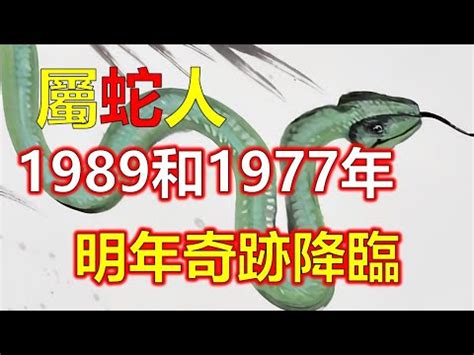 1989屬蛇幸運色